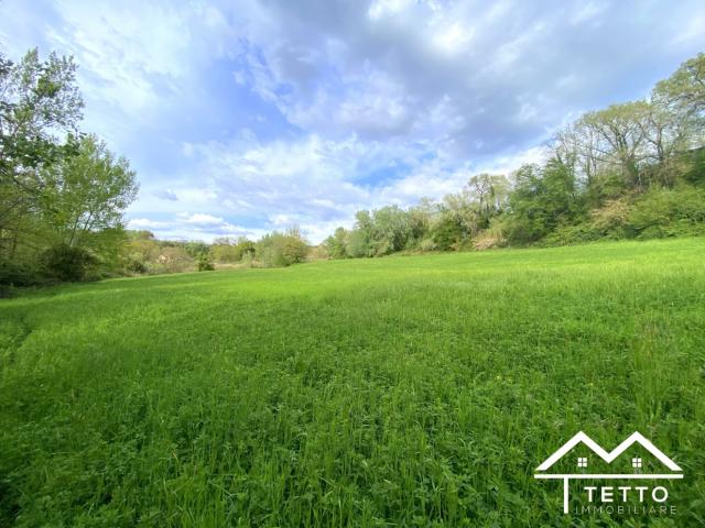 Case - Terreno agricolo