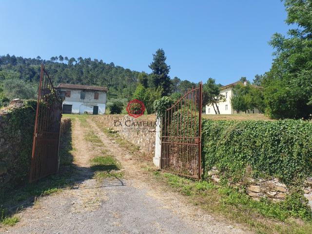 Case - Villa padronale da ristrutturare a pochi km da lucca