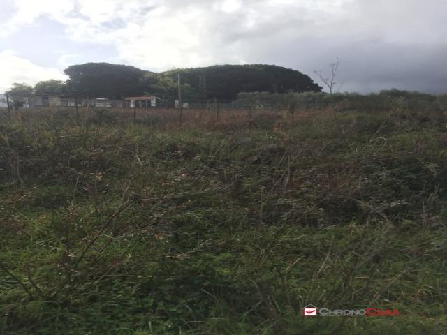 Case - Terreno a castanea rif.mfe-5493