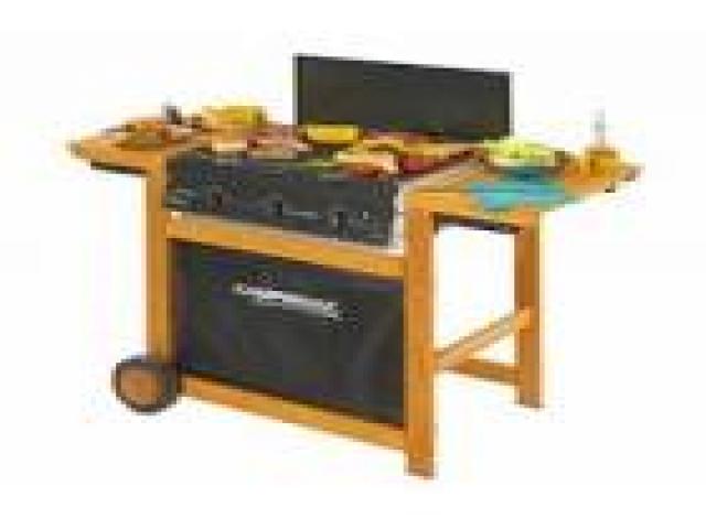 Telefonia - accessori - Beltel - campingaz barbecue gas adelaide 3 woody dual gas