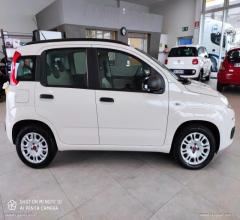 Auto - Fiat panda 1.2 easypower easy