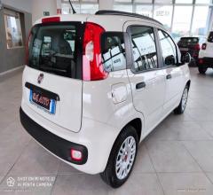 Auto - Fiat panda 1.2 easypower easy