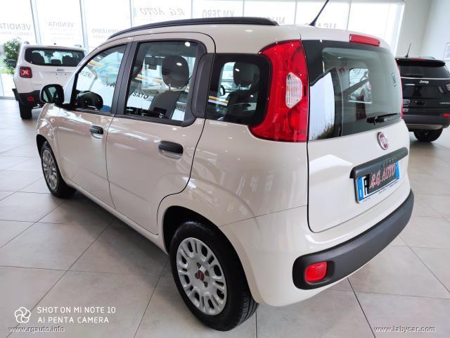 Auto - Fiat panda 1.2 easypower easy