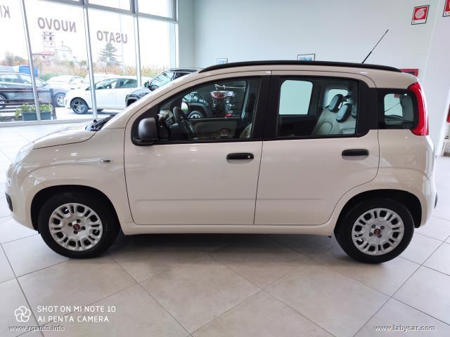 Auto - Fiat panda 1.2 easypower easy