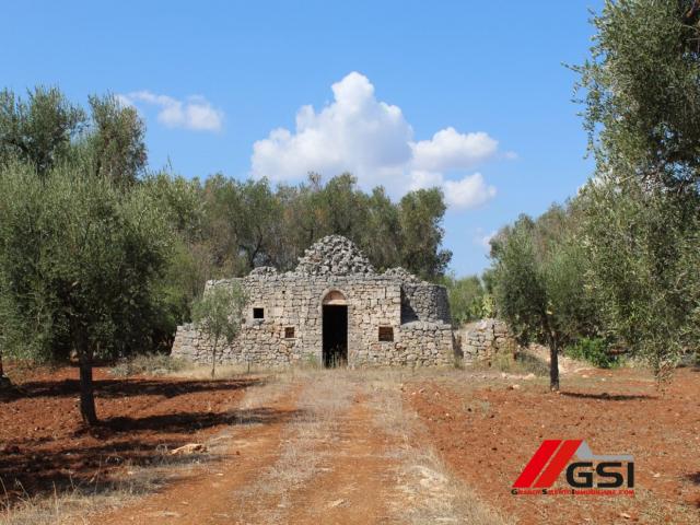 Case - Trullo originale con ampio terreno