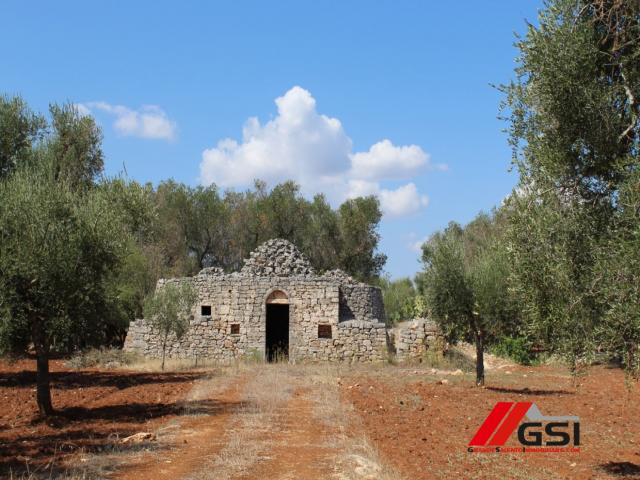 Case - Trullo originale con ampio terreno