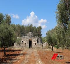 Case - Trullo originale con ampio terreno