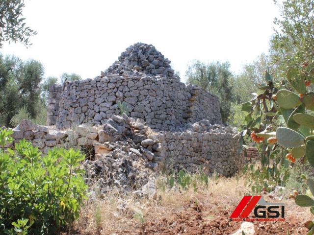 Case - Trullo originale con ampio terreno