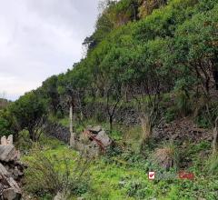 Case - Terreno agricolo con acqua sorgiva e rudere rif. vsa121