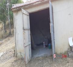 Case - Vsp305 - san fratello, terreno di 3000 mq con fabbricato rurale di 70mq