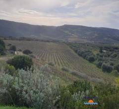 Case - Terreno agricolo con annesso locale deposito