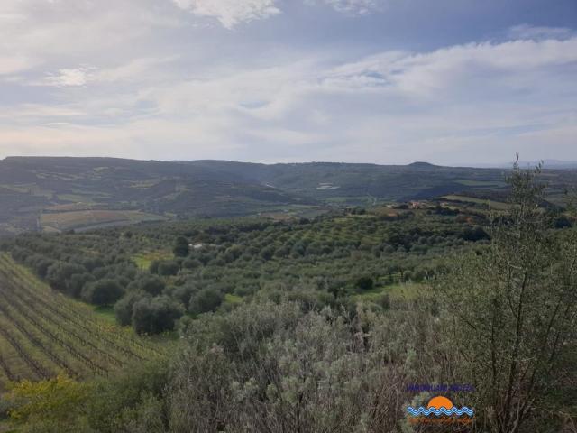 Case - Terreno agricolo con annesso locale deposito