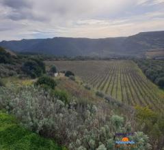 Case - Terreno agricolo con annesso locale deposito