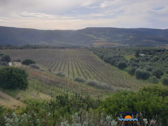 Case - Terreno agricolo con annesso locale deposito