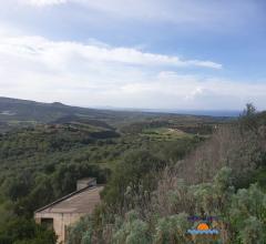 Case - Terreno agricolo con annesso locale deposito