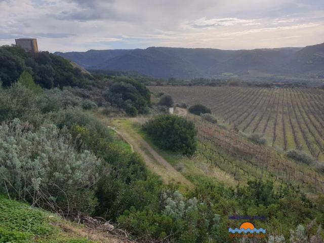 Case - Terreno agricolo con annesso locale deposito