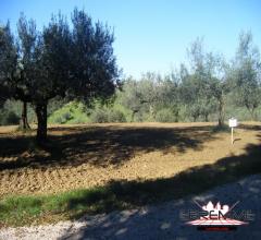 Case - Lotto di terreno edificabile e agricolo a cepagatti in via pastini