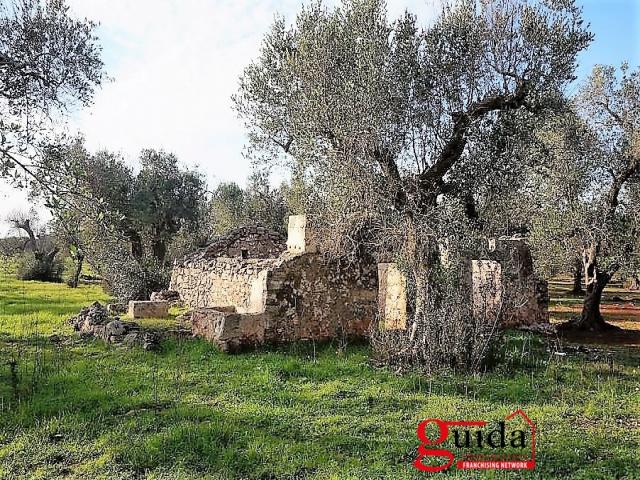 Case - Terreno-agricolo-in-vendita-a-casarano-su-strada-per-supersano-con-rudere-diroccato