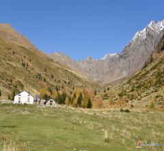 Case - Ponte di legno vicinanze vendesi appartamenti nuovi