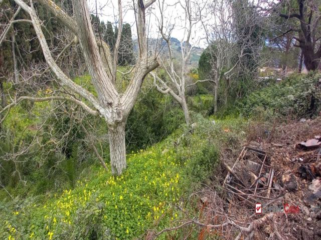 Case - Locanda, terreno con ruderi e deposito