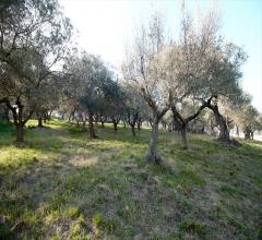 Appartamenti in Vendita - Terreno edificabile in vendita a silvi periferia