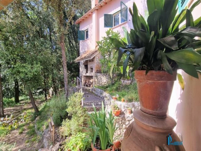 Case - Villa indipendente con giardino, zona cesi