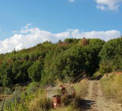 Case - Terreno edificabile - loc. poggio cuculo-il pino -  capolona (ar)