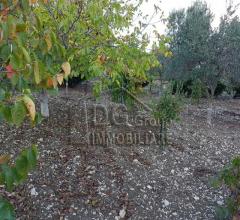 Case - Terreno agricolo in zona tre noci