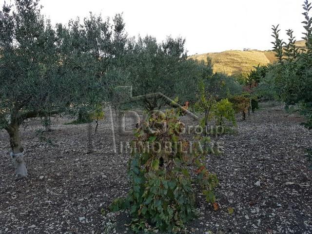 Case - Terreno agricolo in zona tre noci