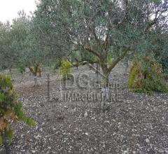 Case - Terreno agricolo in zona tre noci