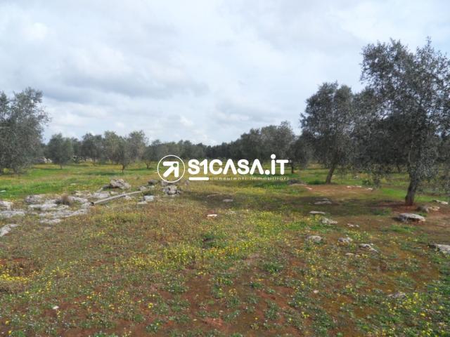 Case - Terreno agricolo in contrada spina