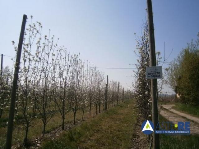 Case - Fondo agricolo con abitazione e terreni in via perossaro n.1185, san felice sul panaro (mo)