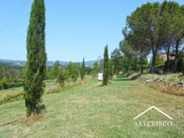 Case - Terreno agricolo - localita' casa ai venti - monticiano (si)