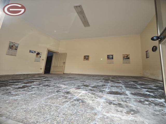 Appartamenti in Vendita - Casa indipendente in vendita a cittanova centrale