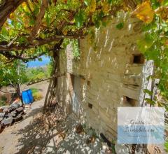 Appartamenti in Vendita - Terreno agricolo in vendita a reggio di calabria paterriti