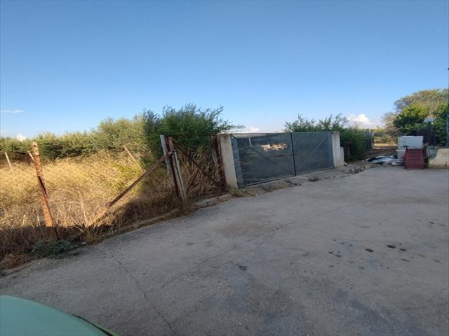 Appartamenti in Vendita - Terreno agricolo in vendita a misiliscemi rilievo