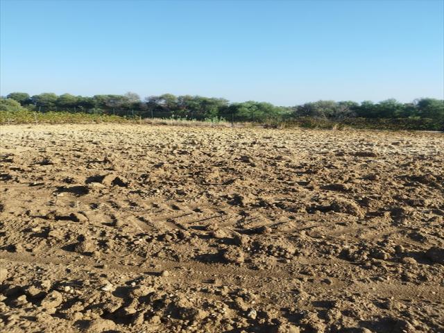 Appartamenti in Vendita - Terreno agricolo in vendita a misiliscemi fontanasalsa