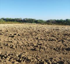 Appartamenti in Vendita - Terreno agricolo in vendita a misiliscemi fontanasalsa