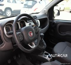 Auto - Fiat panda 0.9 twinair t. cross s&s 4x4