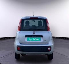 Auto - Fiat panda 1.2 young