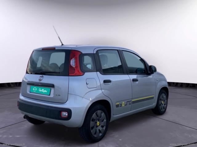 Auto - Fiat panda 1.2 young