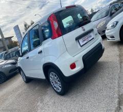 Auto - Fiat panda 1.0 firefly s&s hybrid