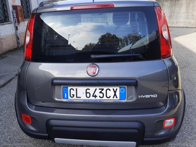 Auto - Fiat panda 1.0 firefly s&s hybrid city life