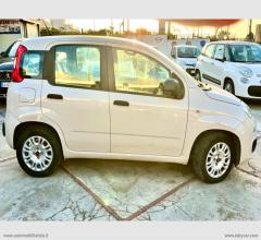 Auto - Fiat panda 1.2 easy