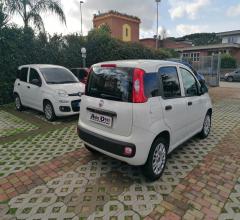 Auto - Fiat panda 1.3 mjt s&s easy