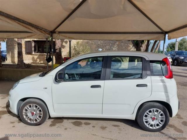 Auto - Fiat panda 1.0 firefly s&s hybrid