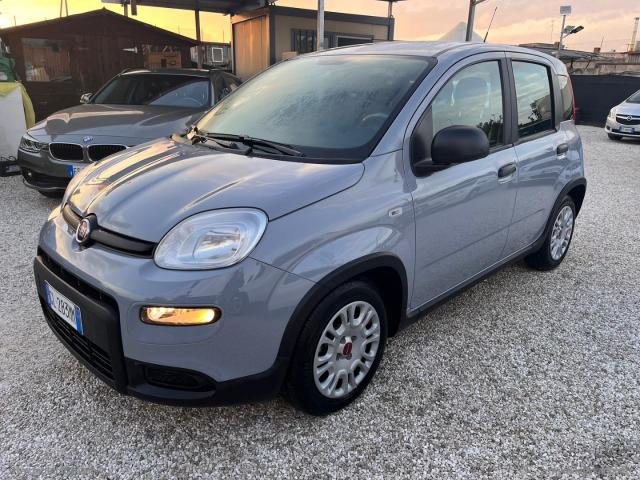 Auto - Fiat panda 1.0 firefly s&s hybrid