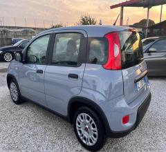 Auto - Fiat panda 1.0 firefly s&s hybrid