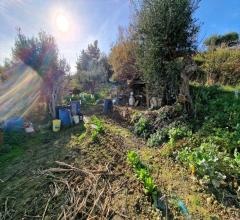 Appartamenti in Vendita - Terreno edificabile in vendita a silvi semicentrale