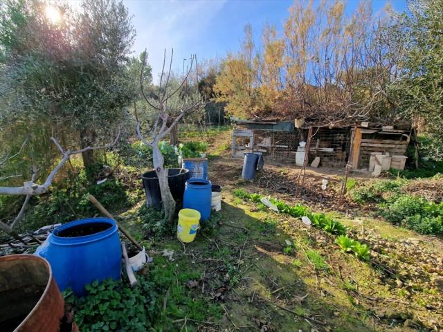 Appartamenti in Vendita - Terreno edificabile in vendita a silvi semicentrale